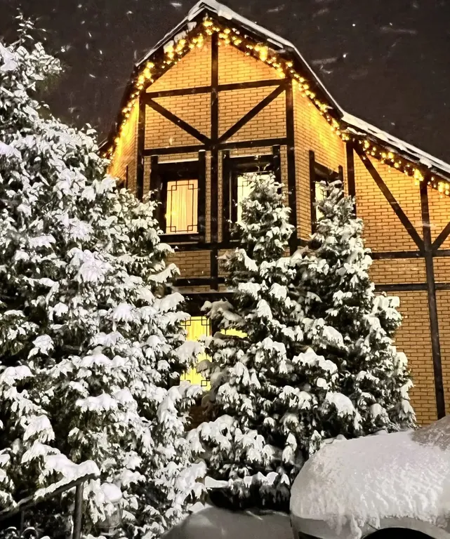 Прекрасный новый дом на горнолыжном курорте