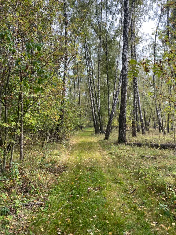 Уютный домик для семьи или компании друзей с банькой и xbox