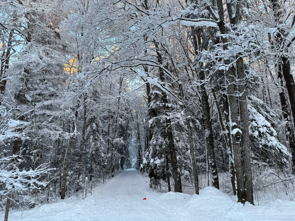 Дом Лес Маттила