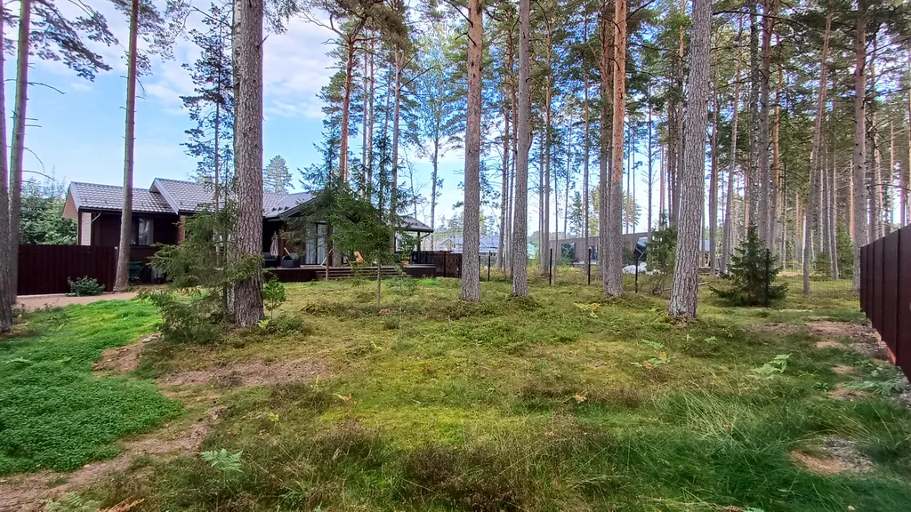 Коттедж в соснах у залива