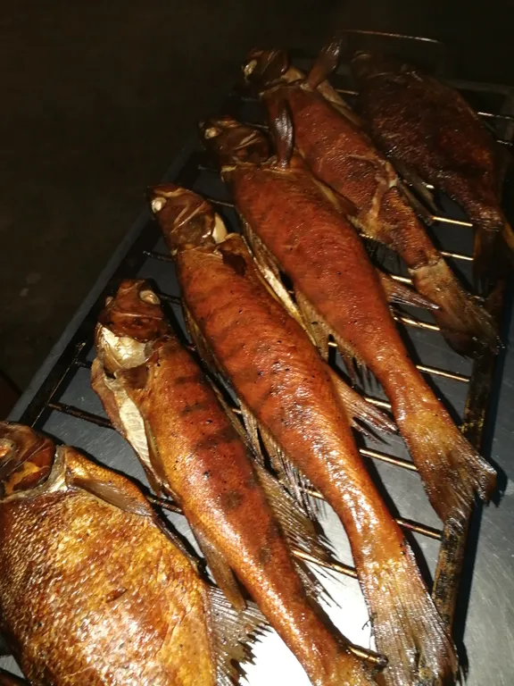 Дом Сом Рыбинка