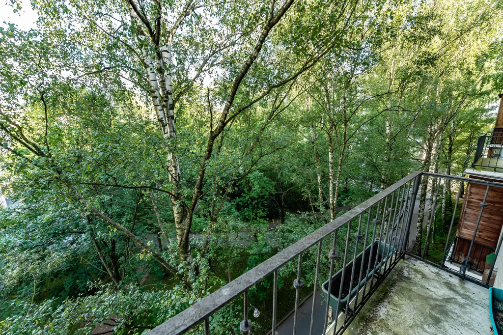 Квартира Уютная квартира — Санкт-Петербург
