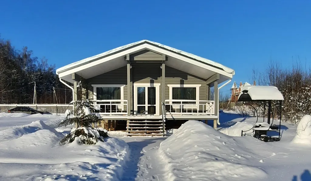 Дом на берегу озера у леса