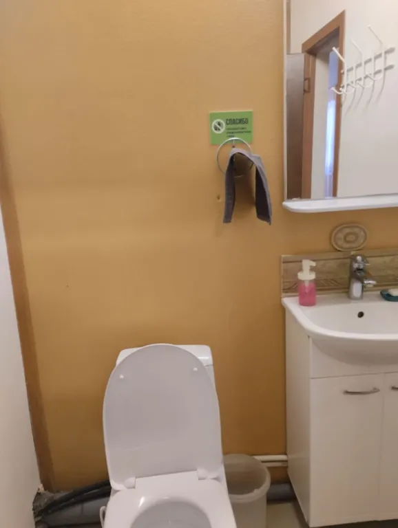 Коттедж Большой дом в черте города рядом парки и фонтаны Петергофа — Санкт-Петербург