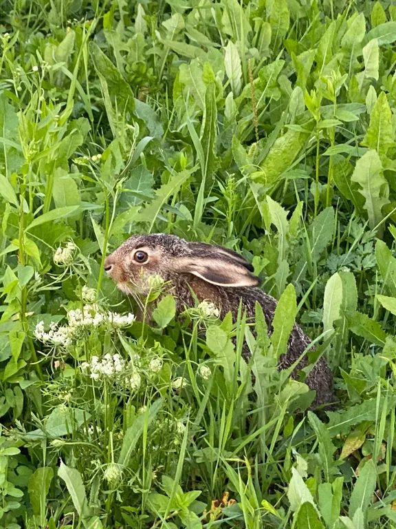 Современный уютный домик с камином на берегу реки Оки