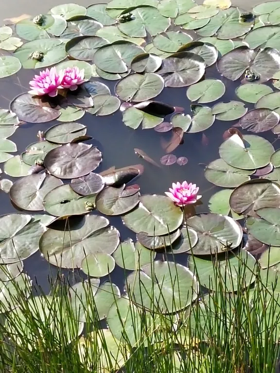 Уютный жилой комплекс в подмосковной Мещёре