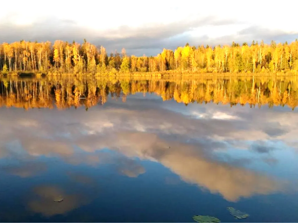 Отдых у озера