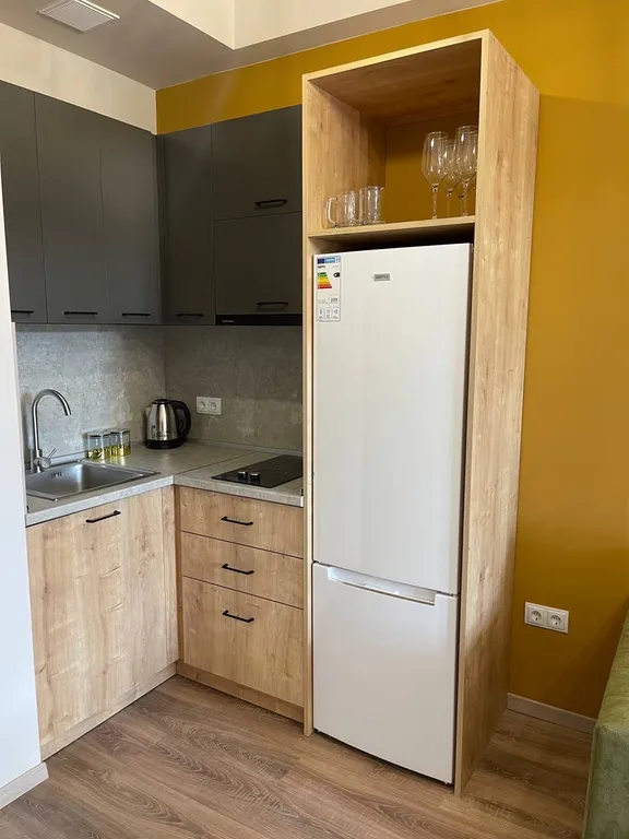 Красивая квартира-студия с видом на горы