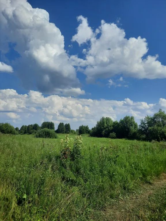 Уютный домик рядом с озером в природном тихом месте