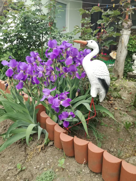 Летний 2х комнатный дом на семью