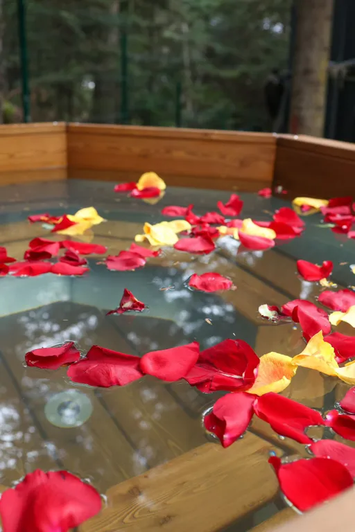 Коттедж relax с чаном и видом на хвойный лес