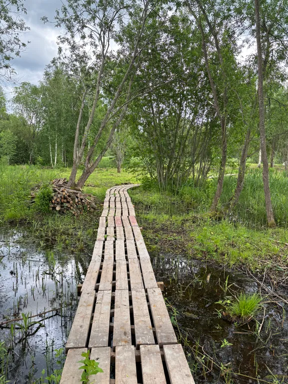 Дом на берегу Покровского озера
