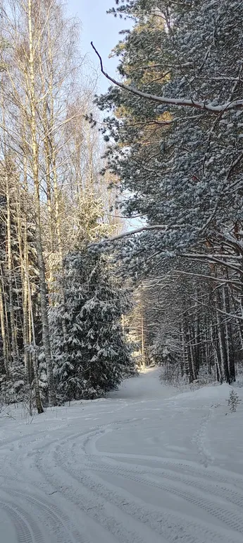 Домик у речки - мечта интроверта