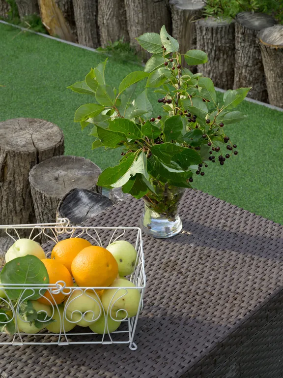 Гуси Лебеди