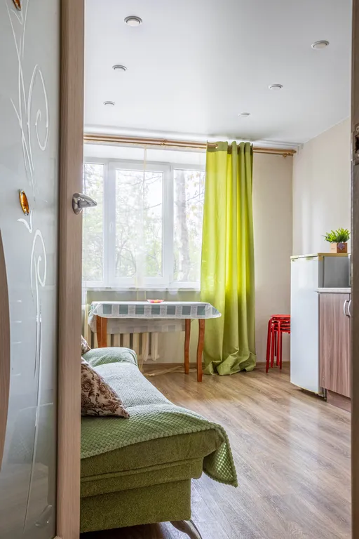 Большая однокомнатная квартира на Красной