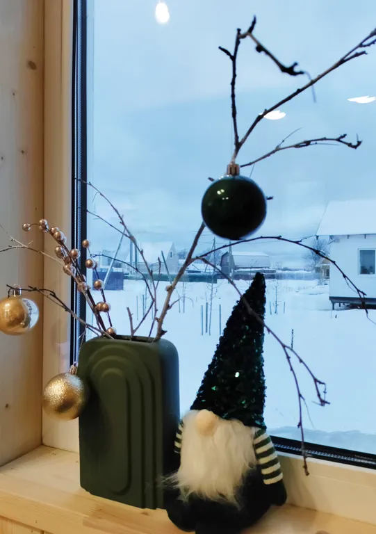 Дача Ласточка новый дом для вашего отдыха