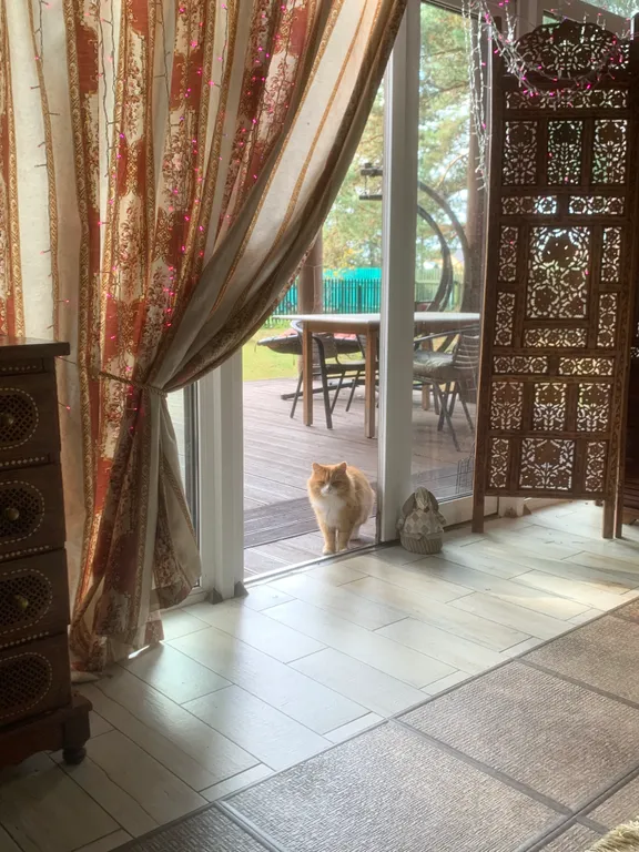 Усадьба Хоромы в соснах