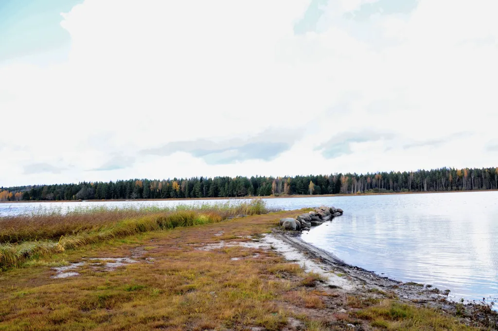 Коттедж Коттедж Маленький флигель — Луга