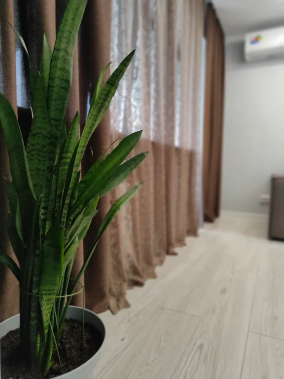 Квартира в центре с панорамным видом