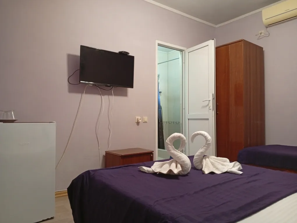 с одной двуспальной или 2 односпальными кроватями и доп спальным мест