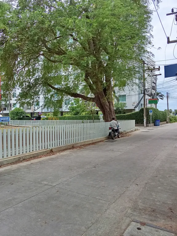 Beach mountain condo