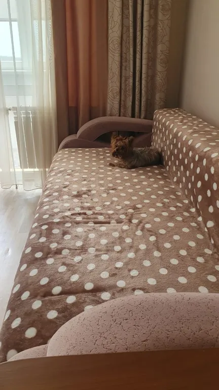 Апартаменты с видом на море