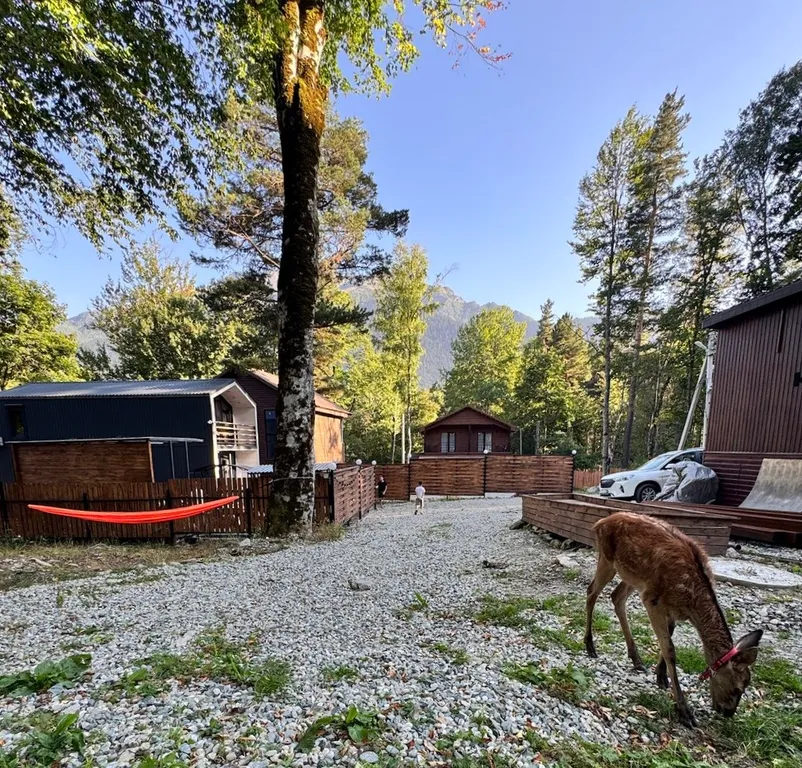 Barnhouse с балконом и видом на горы