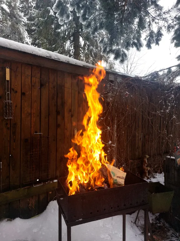 Домик в сосновом лесу