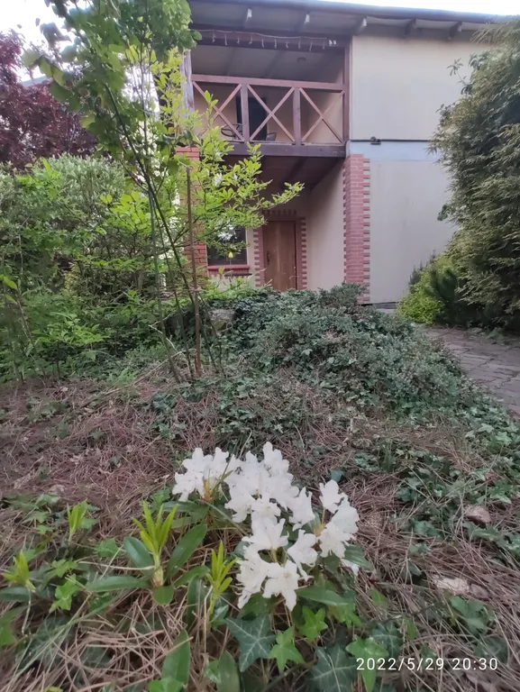 Деревенский дом у моря