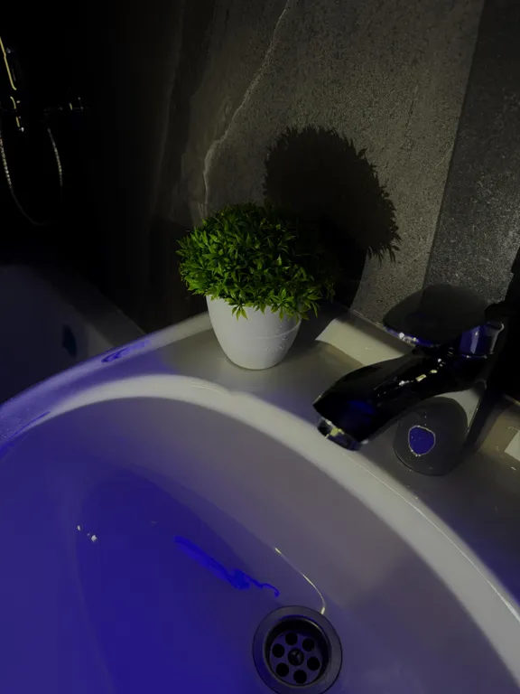 Квартира в новом доме