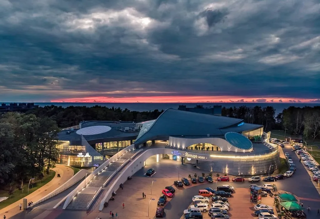 Фиола на холме