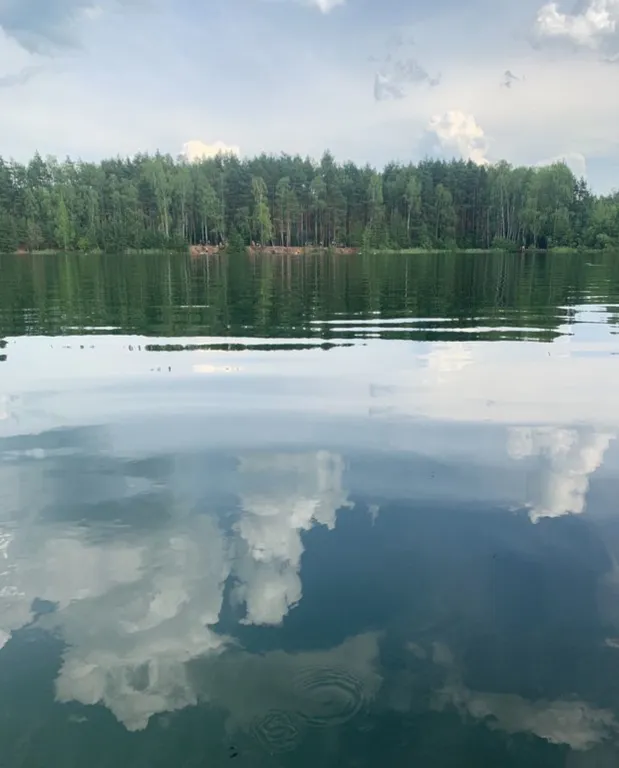 Уютный дом у леса и озера