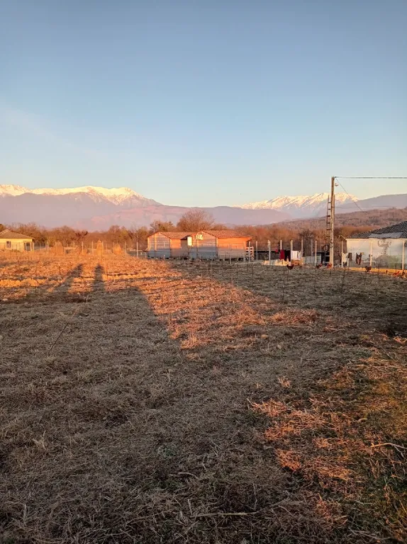 Эко-домик в предгорье