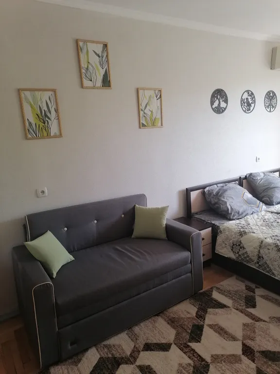 Уютная однокомнатная квартира в центре города