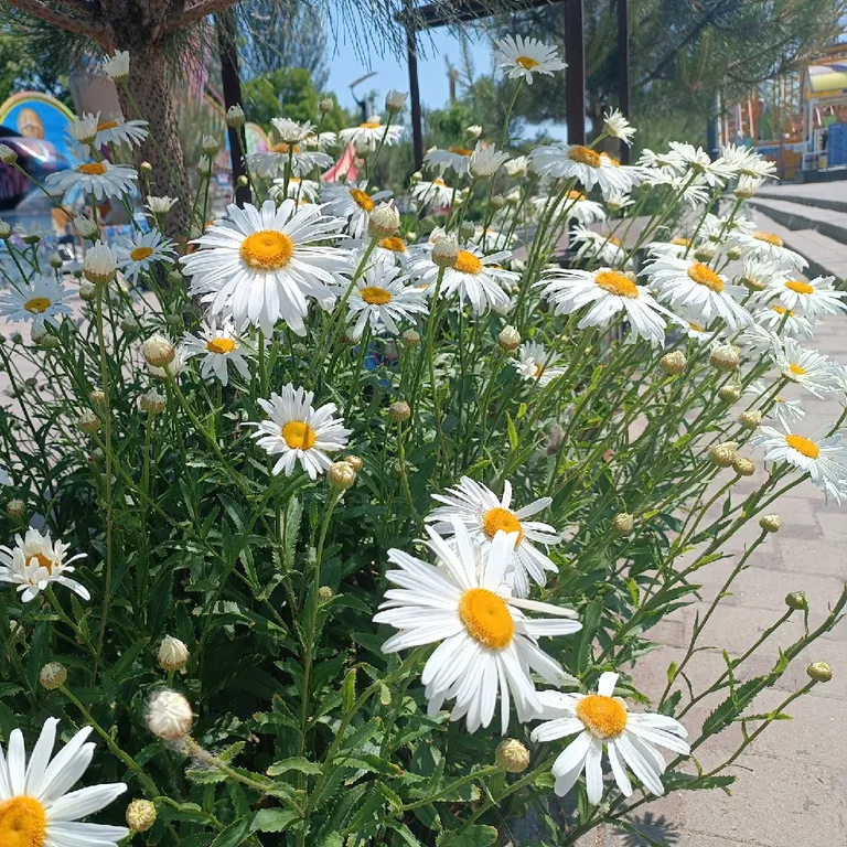 Уютная квартира с интернетом