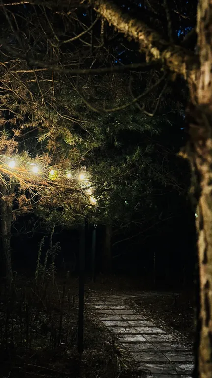 Премиум Шале с панорамным душем, стабильным интернетом, скидки до 60%