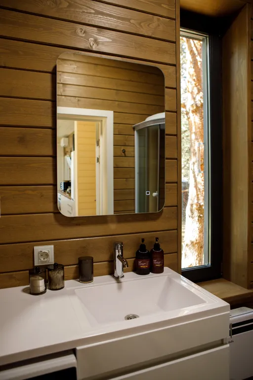 Дом с сауной и горячим чаном на участке с соснами