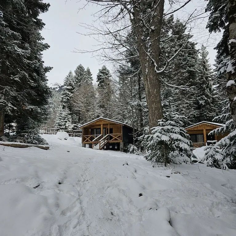 Коттедж Коттедж Уютное шале в окружении леса — Архыз