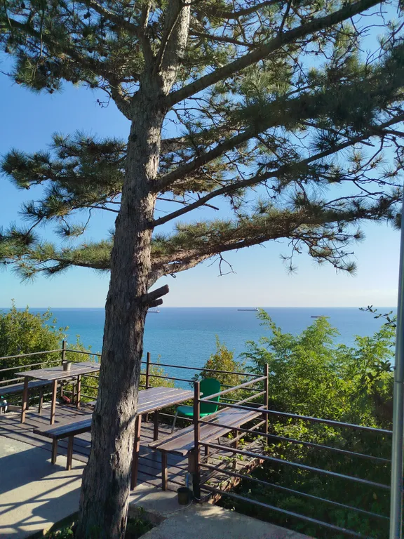 Студия с видом на лес и море