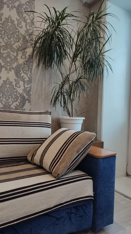 Уютная квартира в центре Курорта