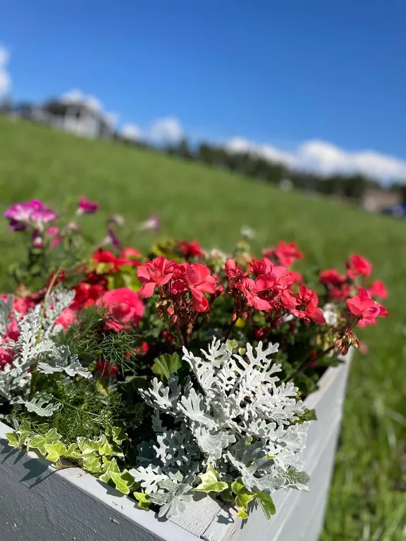 Коттедж Тишина, красота, уют на берегу озера в домике с камином — Глубокое (Каменногорское г/п)