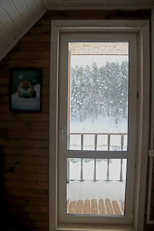 Коттедж на берегу реки с видом на сосновый лес