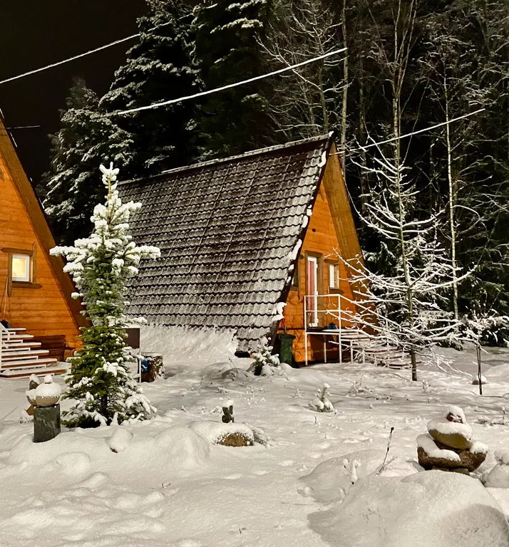 Дом-шалаш N3 с видом на Выборгский залив