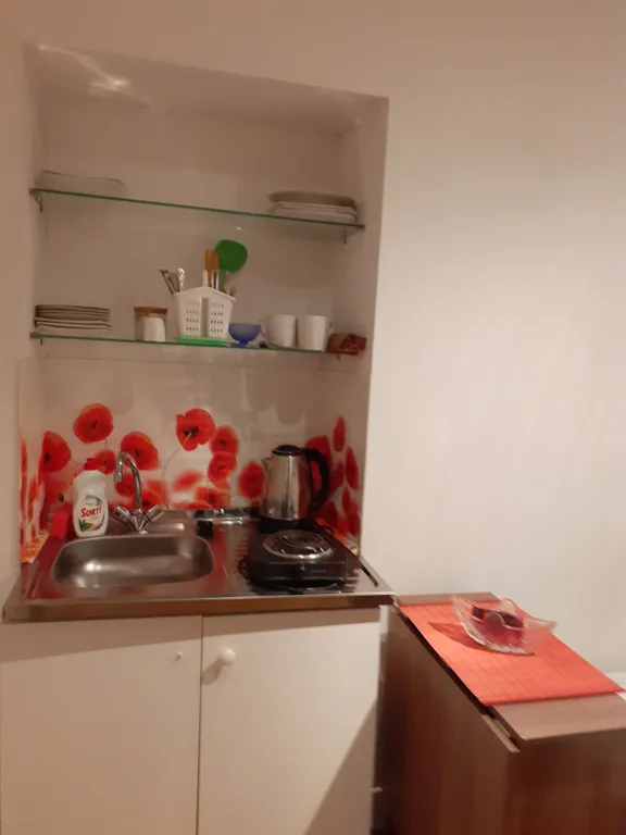 Квартира 1-комнатная Квартира — Санкт-Петербург