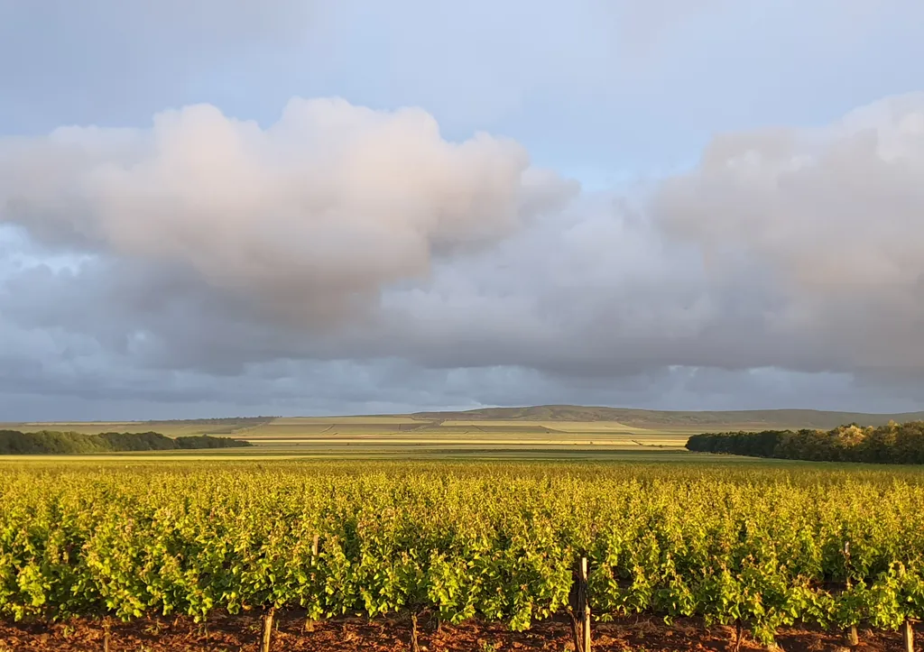 Гостевой дом на берегу Азовского моря