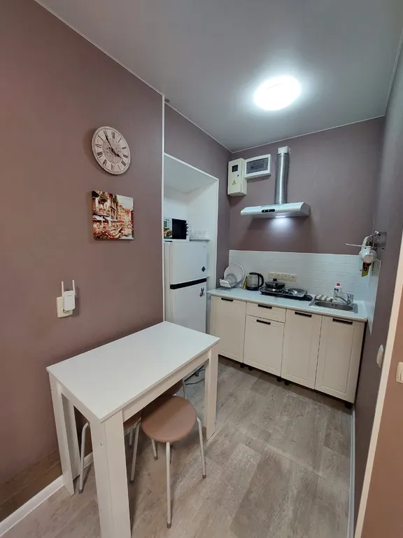 Двухкомнатная студия в центре для отдыха и деловых поездок