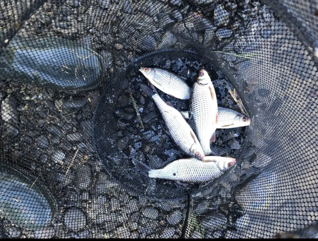 Семейный дом с сауной у реки N2