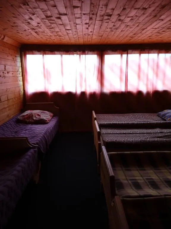 Кедровый дом на берегу реки Бия с видом на реку