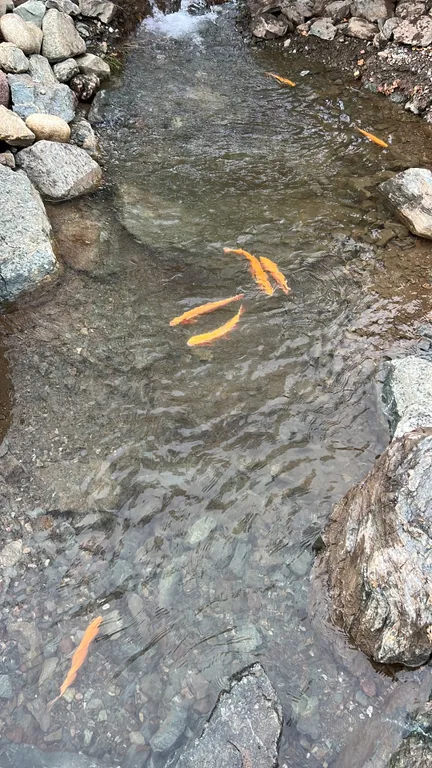 4-комнатный Дом