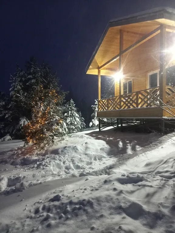 Коттедж Дом в окружении леса и скал — Мережнаволок